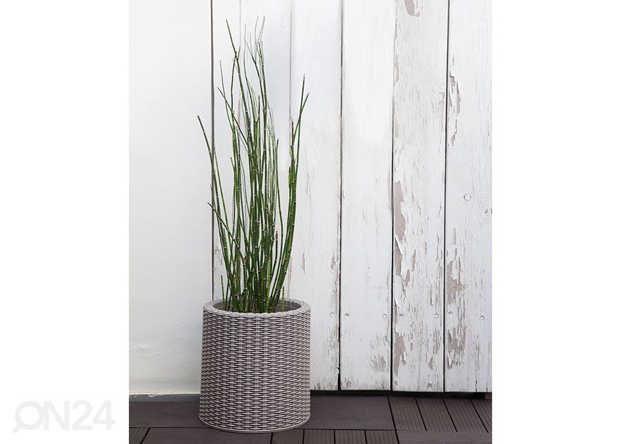 Istutusruukku Keter Cylinder Planter Small, beige kuvasuurennos