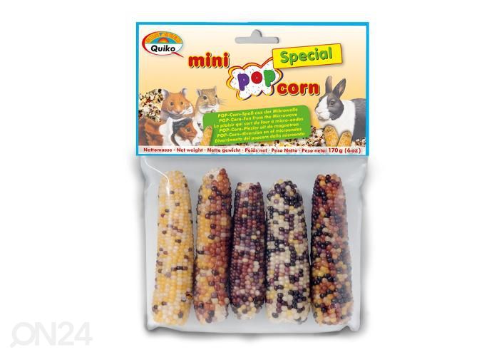 Jyrsijöiden makupala mini pop corn special 170g kuvasuurennos