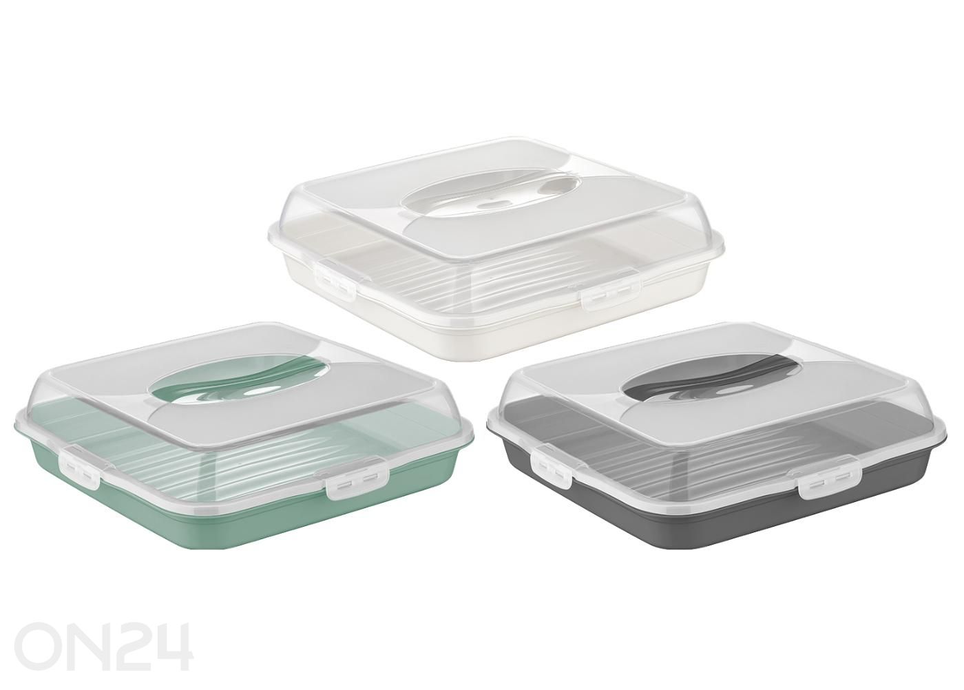 Kakkurasia kannella 36×36 cm kuvasuurennos