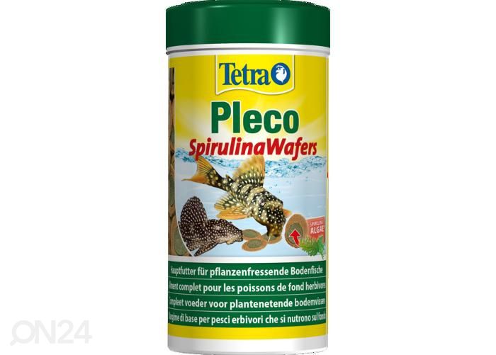 Kalanruoka pleco spirulina wafers 250 ml kuvasuurennos