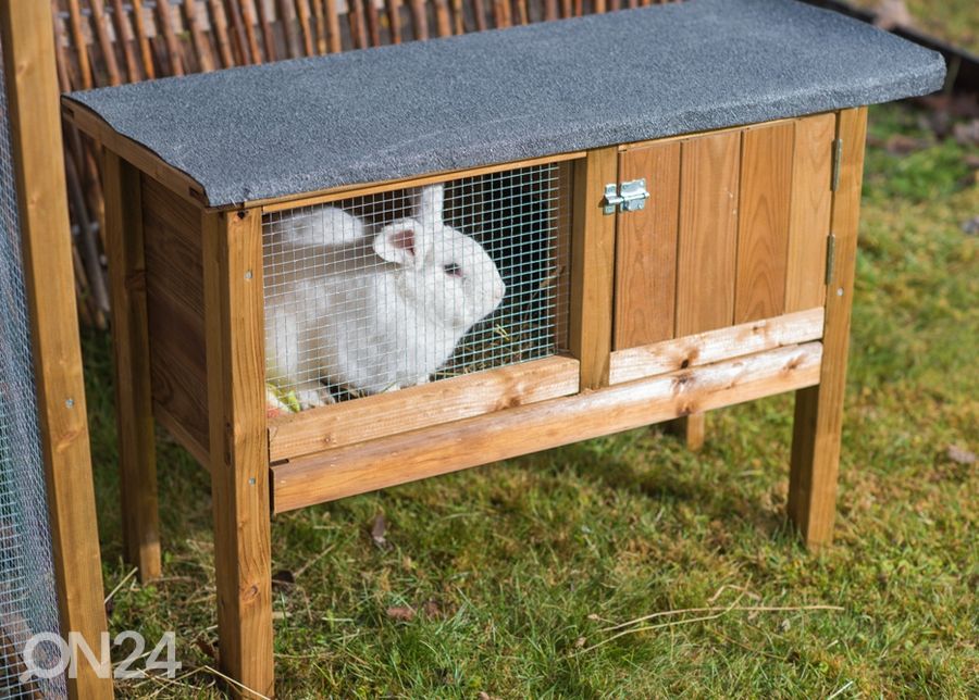Kanikoppi Rabbit 1 kuvasuurennos