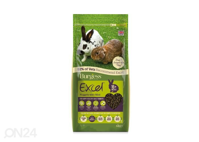 Kanin täysravinto mint 4 kg kuvasuurennos