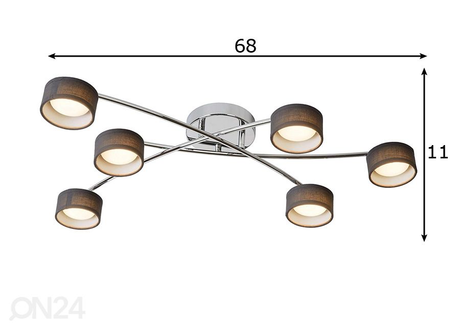 Kattovalaisin Alys kuvasuurennos mitat