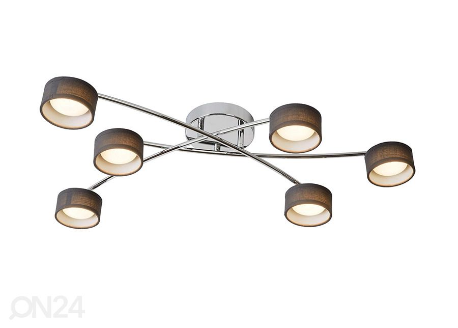 Kattovalaisin Alys kuvasuurennos