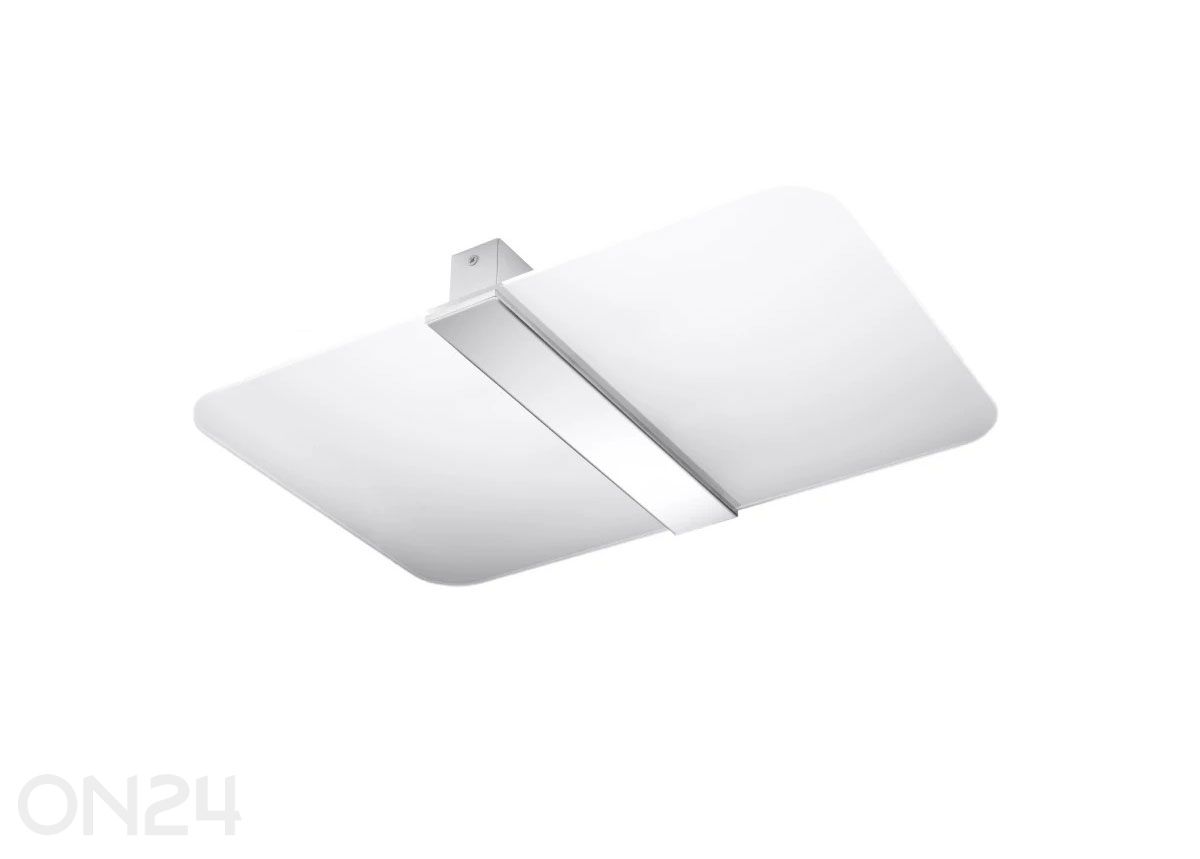 Kattovalaisin Azalia kuvasuurennos