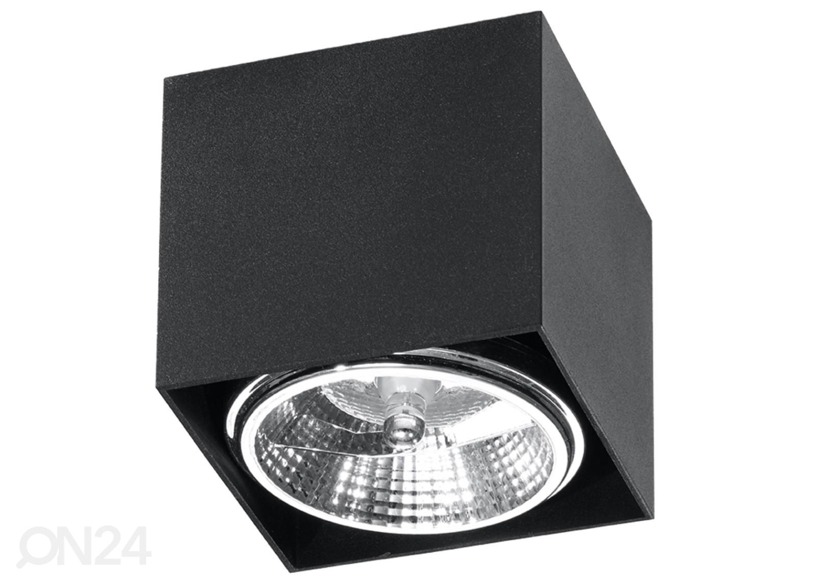 Kattovalaisin Blake kuvasuurennos