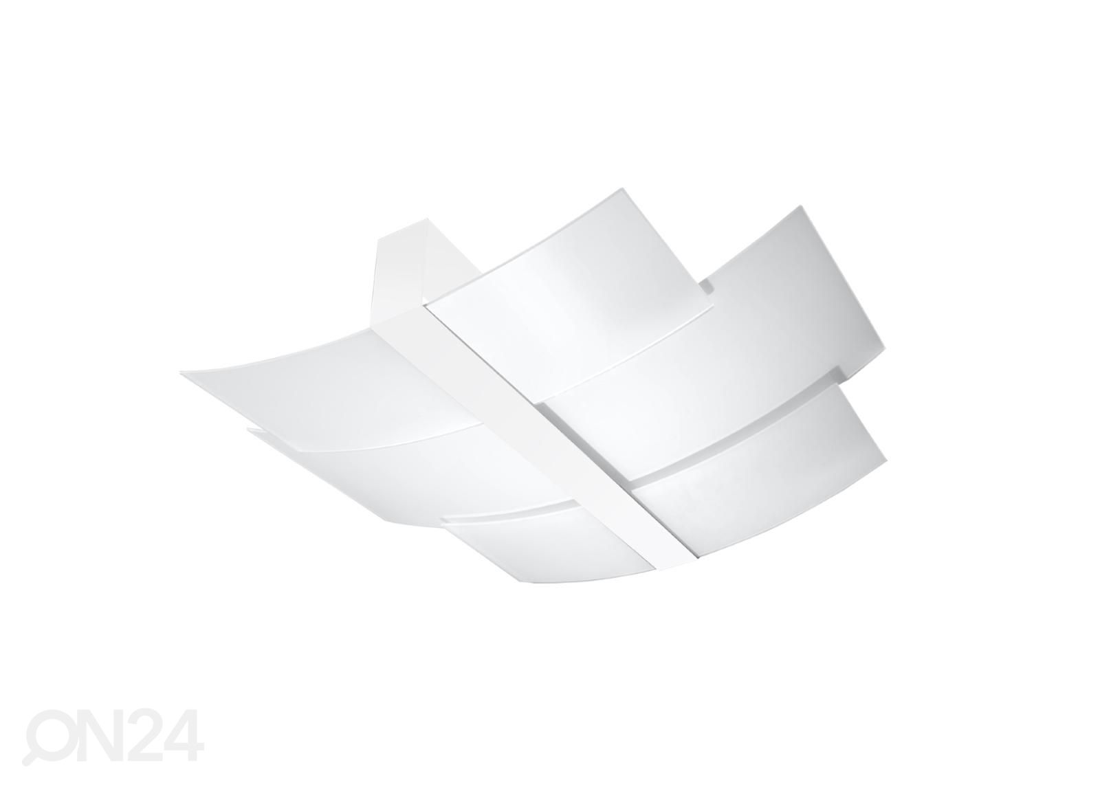 Kattovalaisin Celia, valkoinen kuvasuurennos