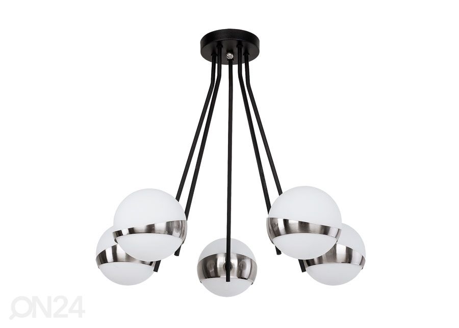 Kattovalaisin ELFA-2 5 kuvasuurennos