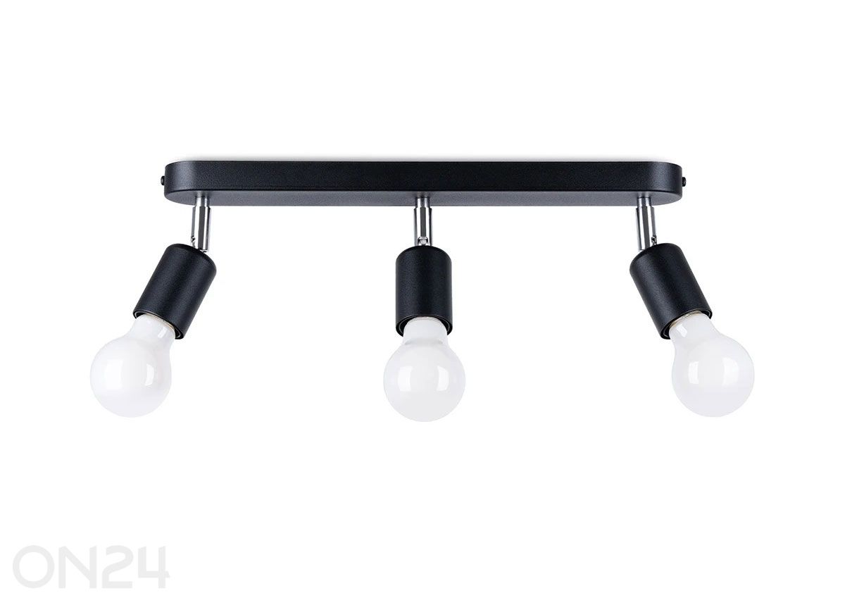 Kattovalaisin Fornes 3, musta kuvasuurennos