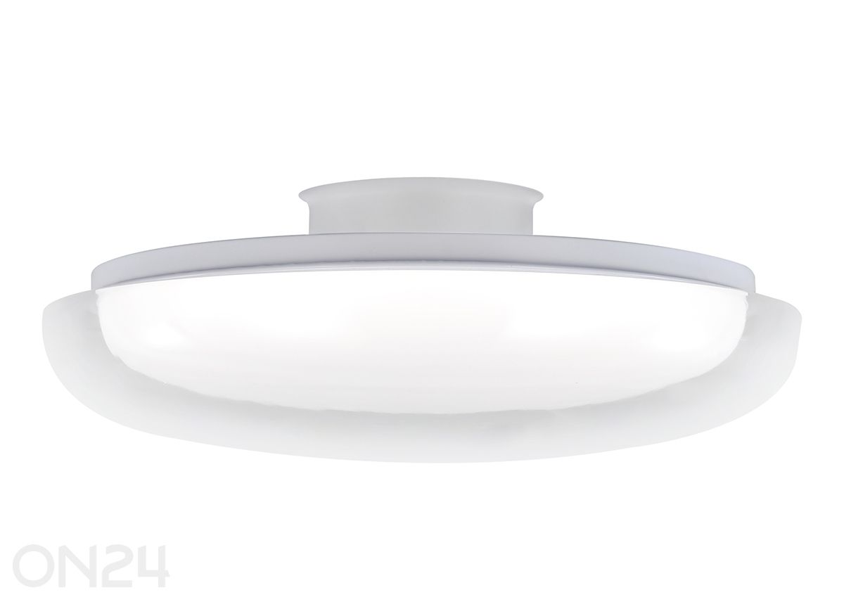 Kattovalaisin Glossy 30 kuvasuurennos
