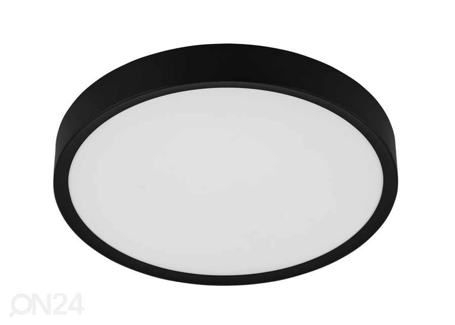 Kattovalaisin Musurita Ø 44 cm kuvasuurennos