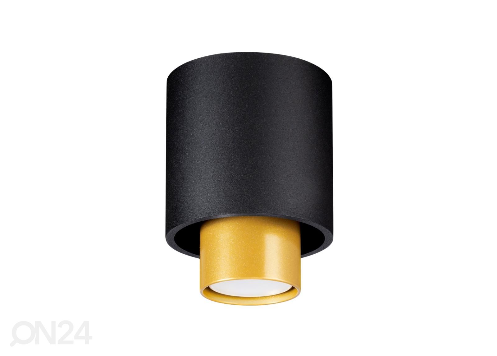 Kattovalaisin Nesi, musta kuvasuurennos