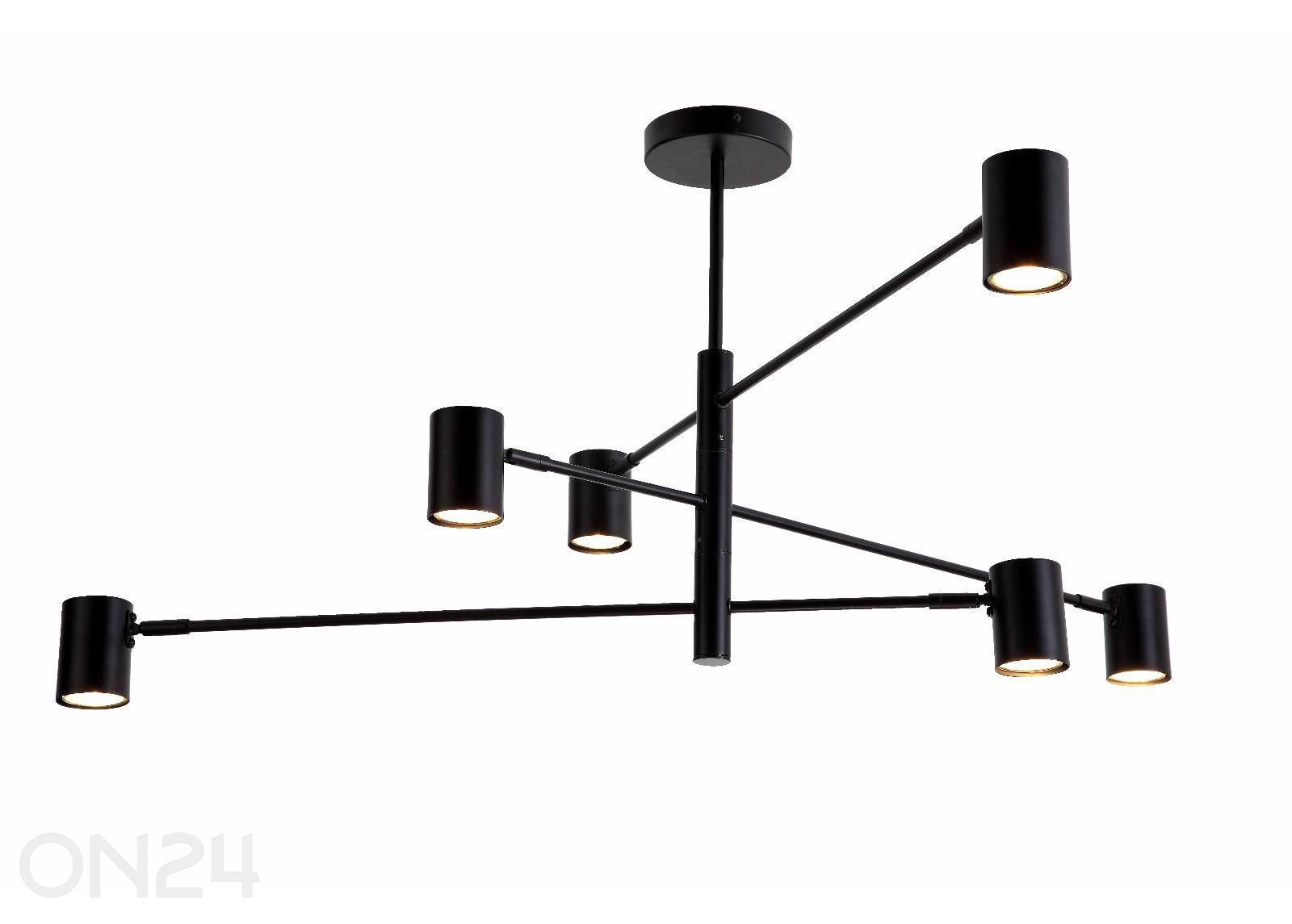 Kattovalaisin Pedro kuvasuurennos