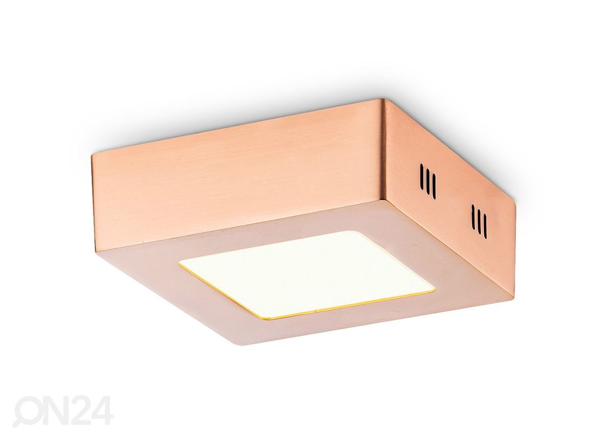 Kattovalaisin Ska 12x12 cm kuvasuurennos