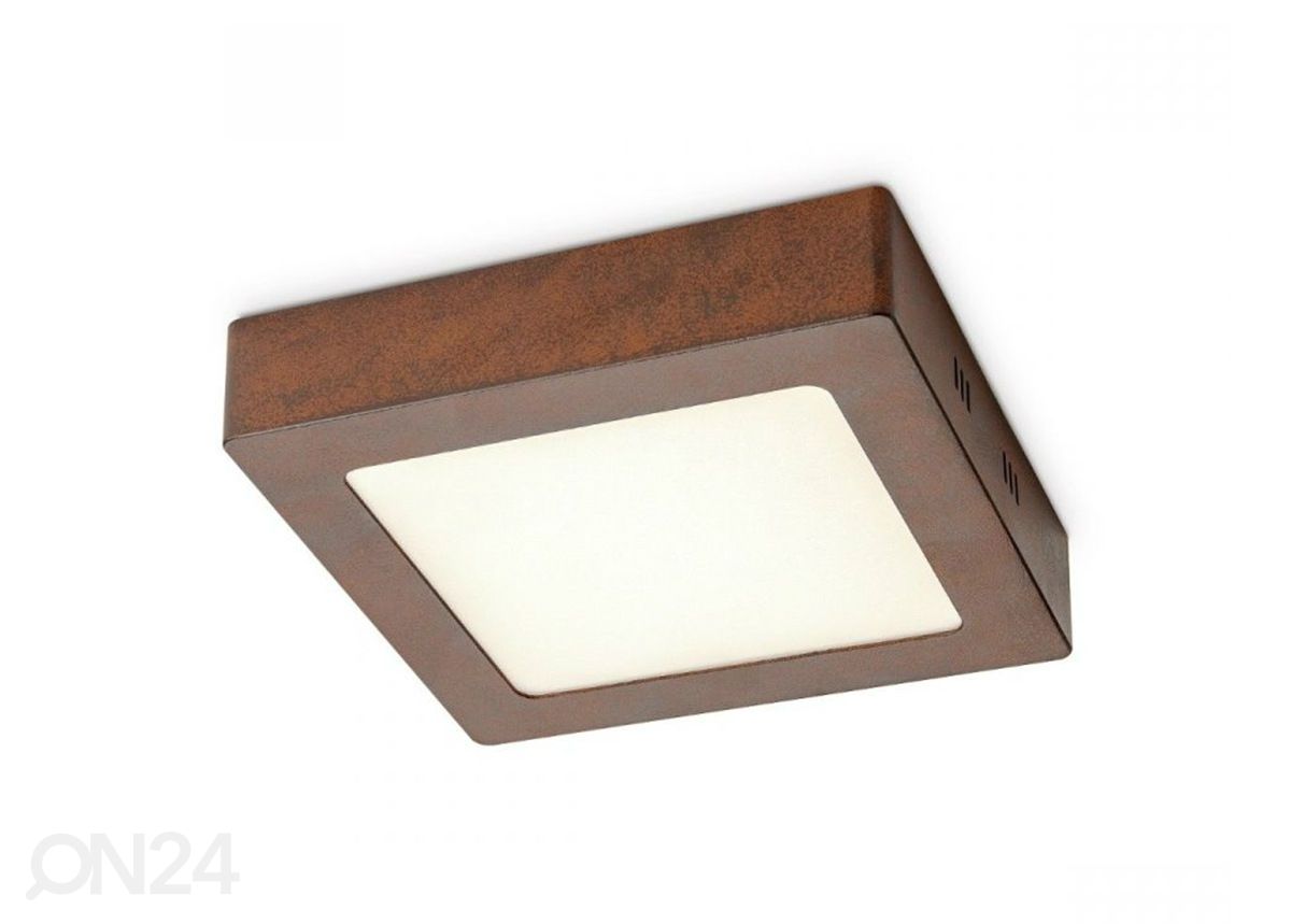 Kattovalaisin Ska 17x17 cm kuvasuurennos