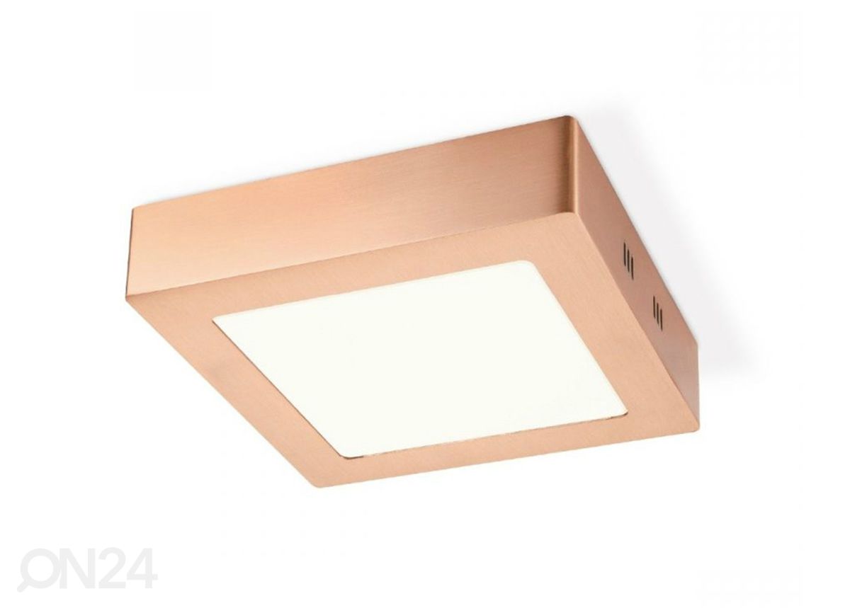 Kattovalaisin Ska 17x17 cm kuvasuurennos