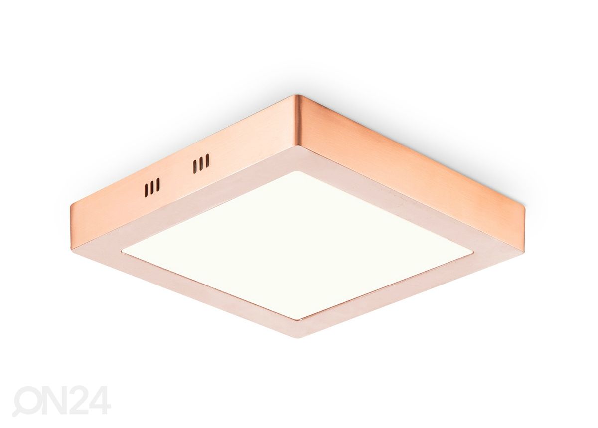 Kattovalaisin Ska 22,5x22,5 cm kuvasuurennos