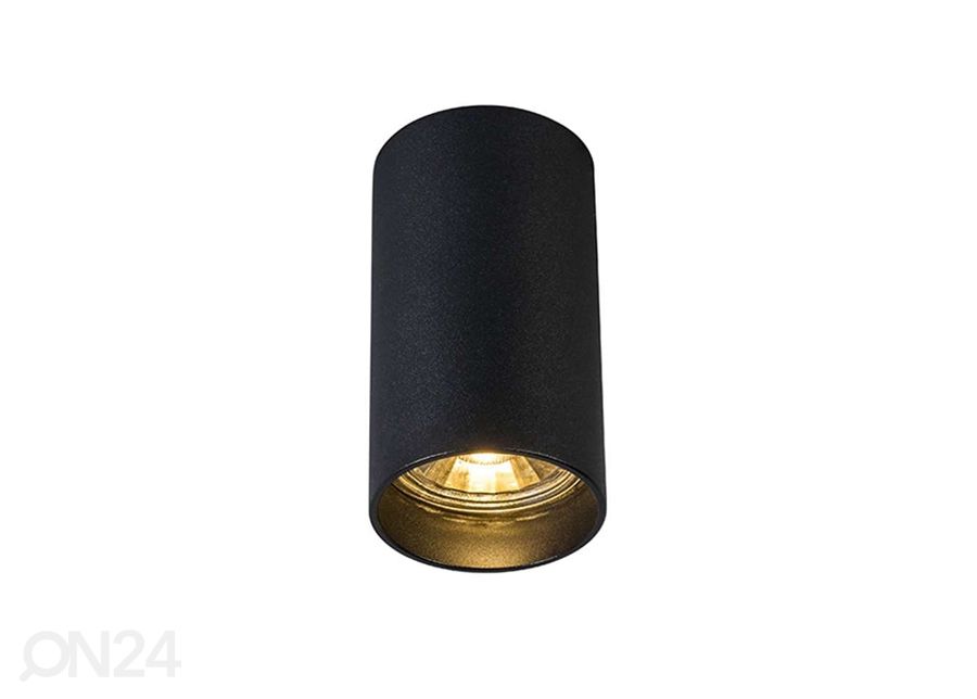 Kattovalaisin Tuba SL1 kuvasuurennos