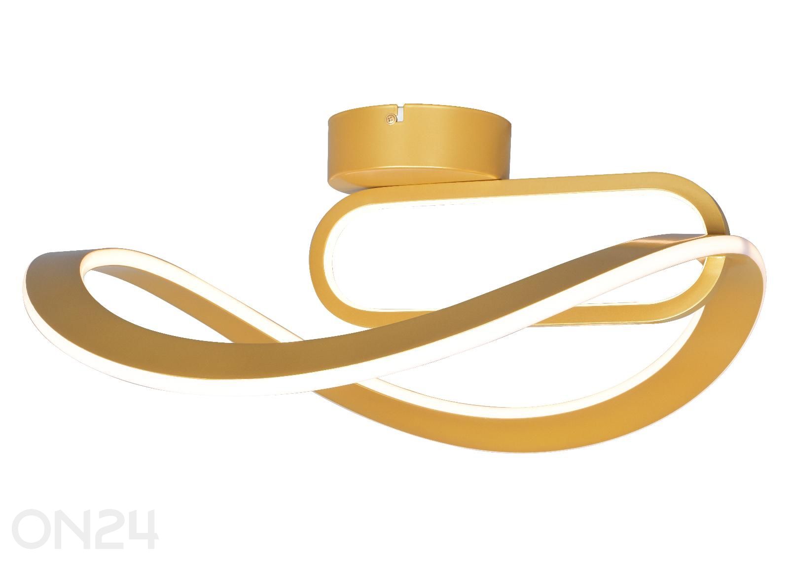 Kattovalaisin Velenne kuvasuurennos