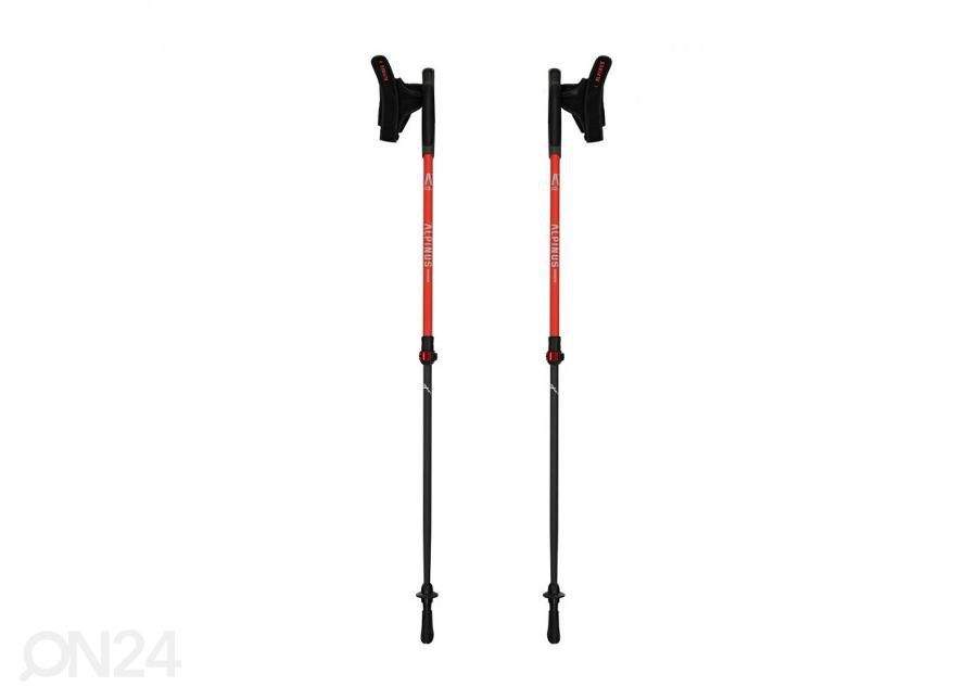 Kävelysauvat Alpinus Braunberg NX43601 kuvasuurennos