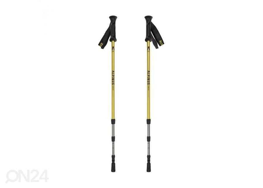 Kävelysauvat Alpinus Courmayeur NX436001 kuvasuurennos