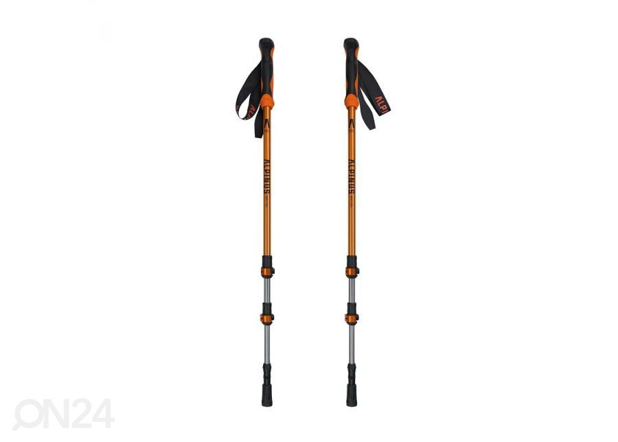 Kävelysauvat Alpinus Monte Rosa NX43599 kuvasuurennos