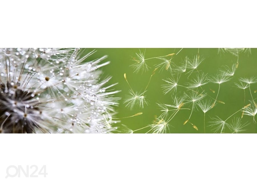 Keittiön välitila Dandelion 180x60 cm kuvasuurennos