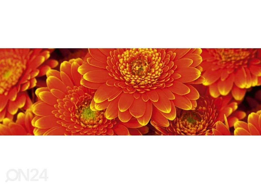 Keittiön välitila Gerbera 180x60 cm kuvasuurennos