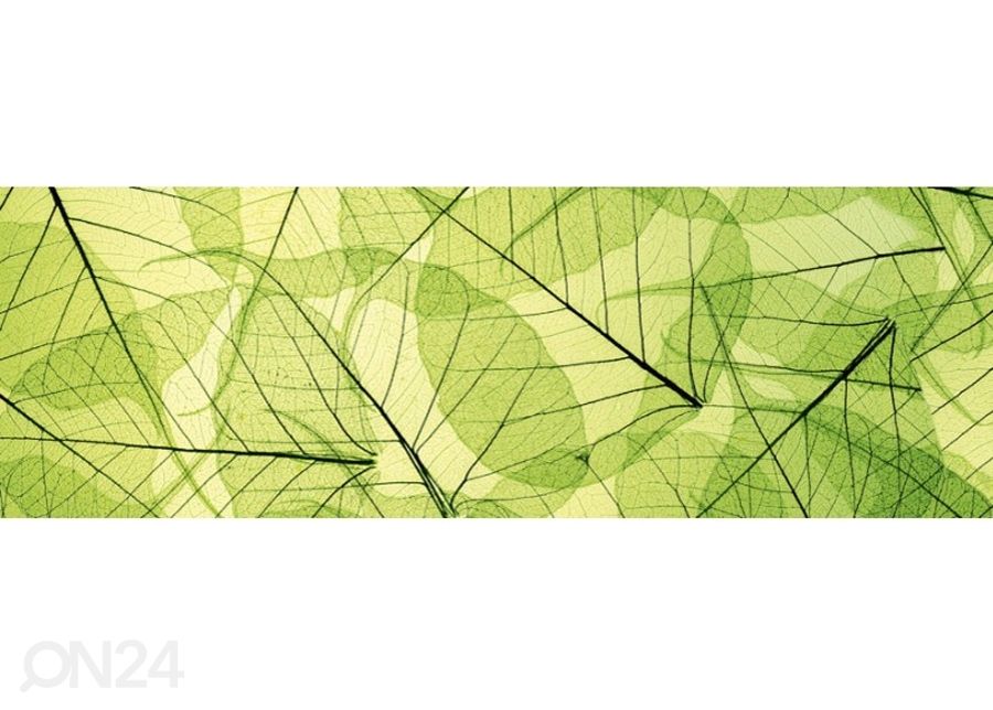Keittiön välitila Leaf veins 180x60 cm kuvasuurennos