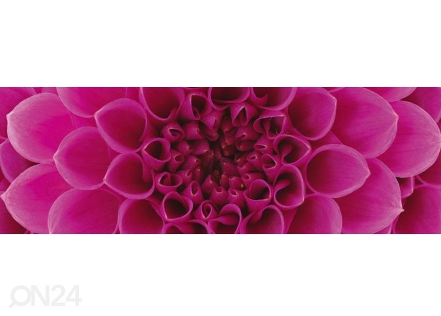 Keittiön välitila Pink dahlia 180x60 cm kuvasuurennos