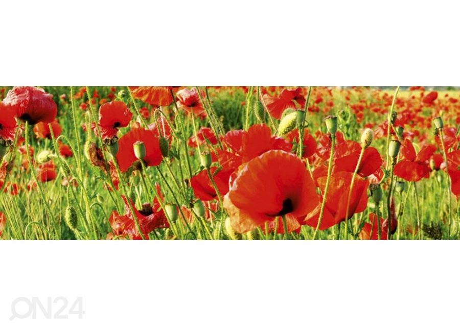 Keittiön välitila Red poppies 180x60 cm kuvasuurennos