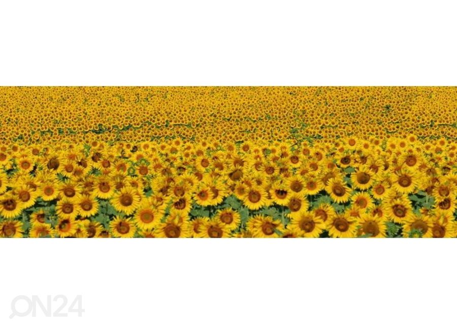 Keittiön välitila Sunflowers 260x60 cm kuvasuurennos