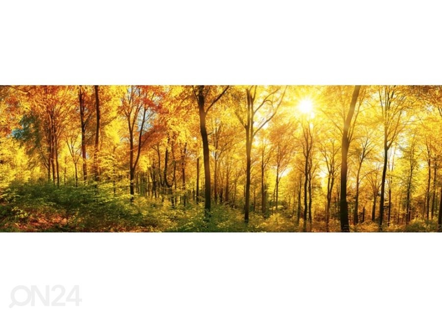 Keittiön välitila Sunny forest 180x60 cm kuvasuurennos