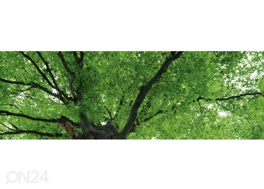 Keittiön välitila Treetop 350x60 cm kuvasuurennos