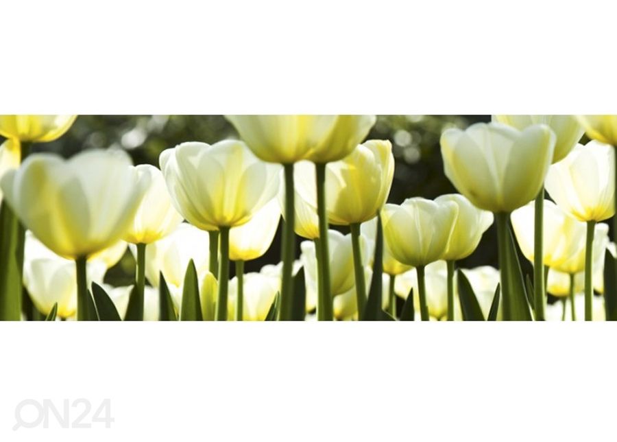 Keittiön välitila White tulips 180x60 cm kuvasuurennos