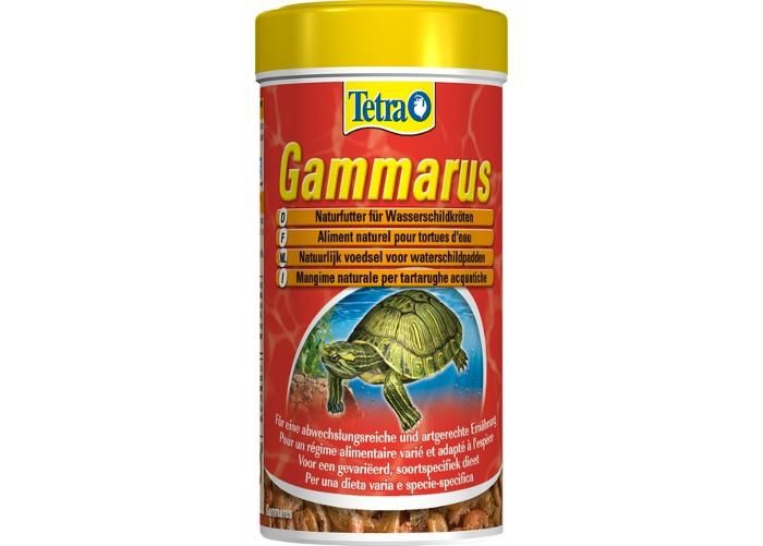 Kilpikonnan täysravinto gammarus 100 ml kuvasuurennos
