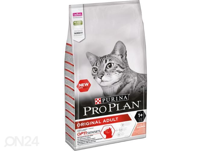 Kissan täysravinto lohi/riisi 10 kg kuvasuurennos