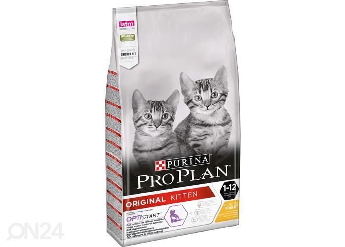 Kissanpennun täysravinto kana/riisi 10 kg kuvasuurennos