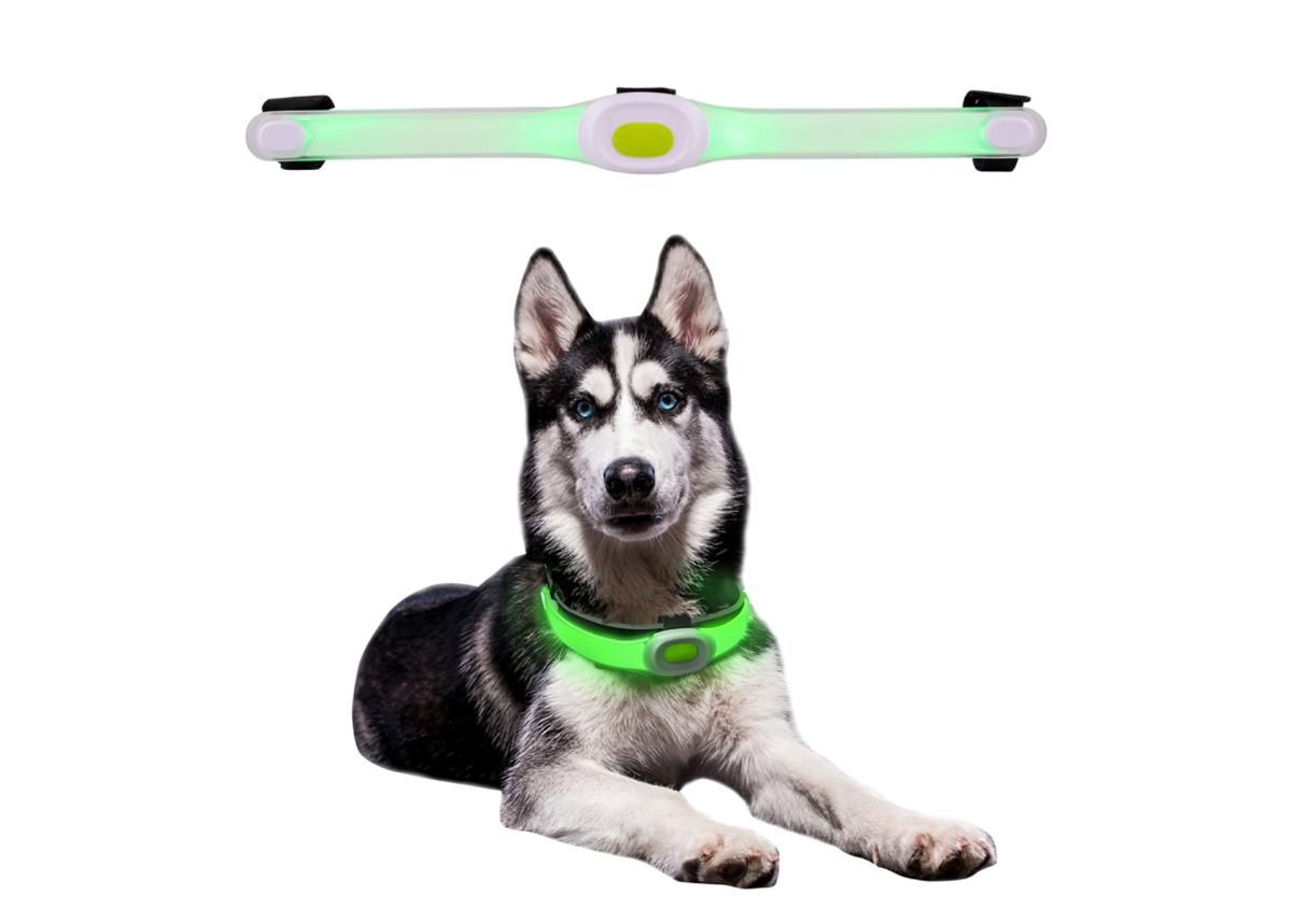 Koiran Led kaulapanta LED light Maxi kuvasuurennos