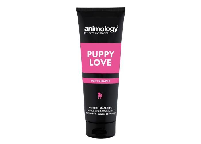 Koiranpennun shampoo puppy love 250 cm kuvasuurennos