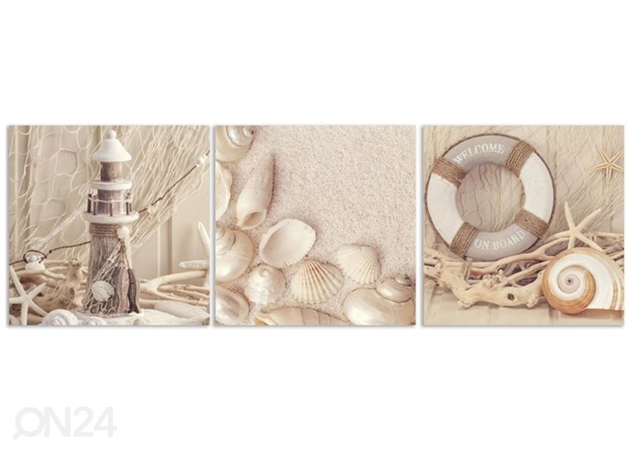 Kolmeosainen taulu Lantern and shells kuvasuurennos