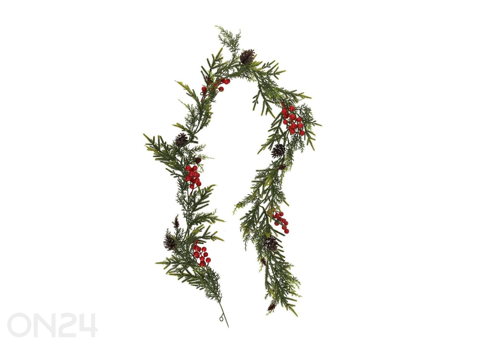 Koristekasvi Greenland, 180 cm, marjojen kanssa kuvasuurennos