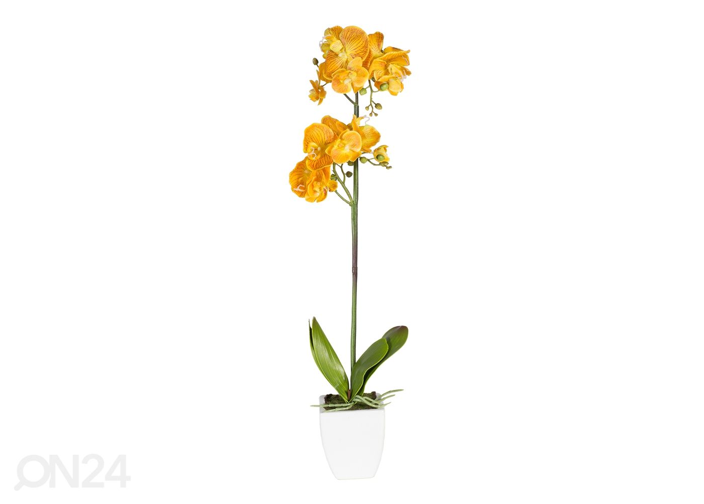 Koristekasvi Keltainen orkidea 72 cm kuvasuurennos
