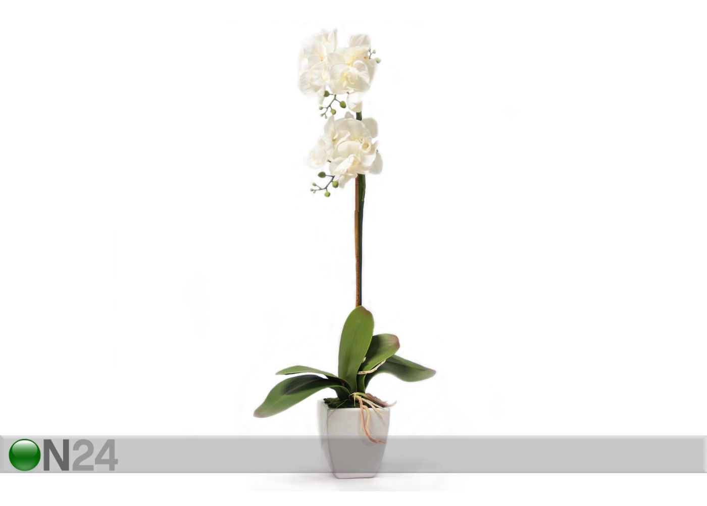 Koristekasvi valkoinen ORKIDEA 75 cm kuvasuurennos