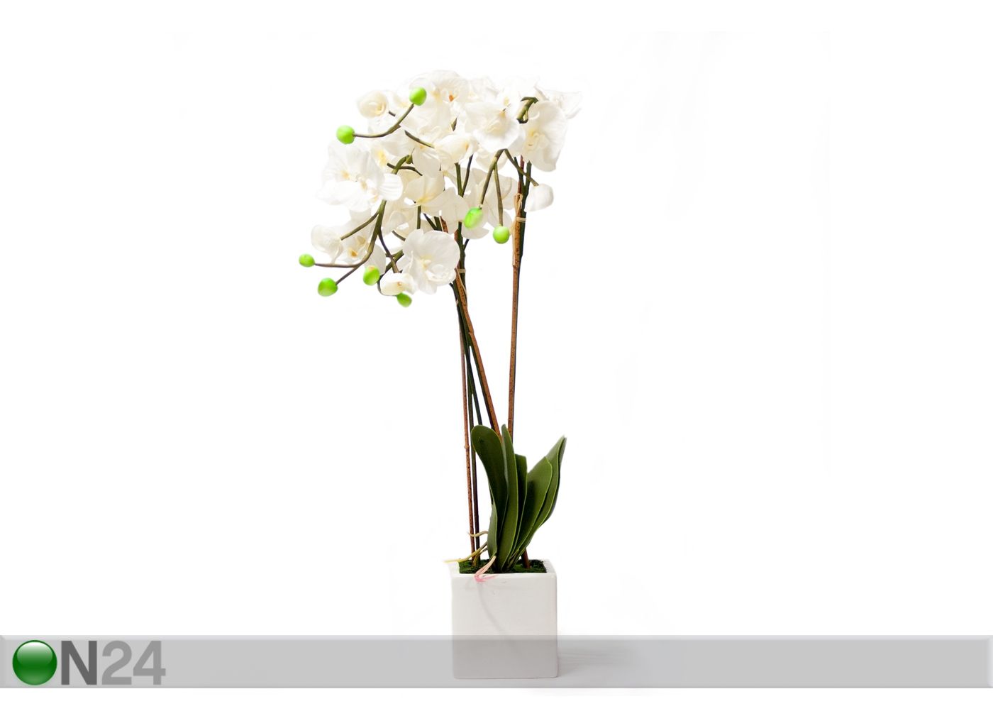 Koristekasvi valkoinen ORKIDEA 88 cm kuvasuurennos