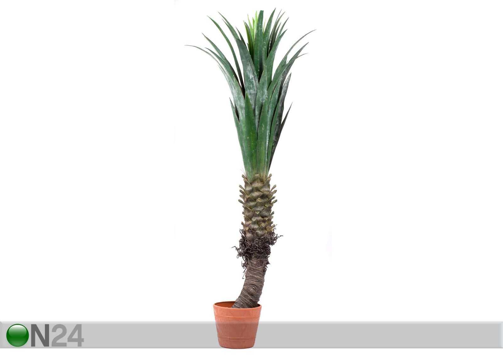 Koristepuu PALMU 150 cm kuvasuurennos