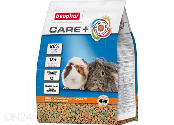 Kuivaruoka marsuille BeapharCare+ marsu 250 g kuvasuurennos