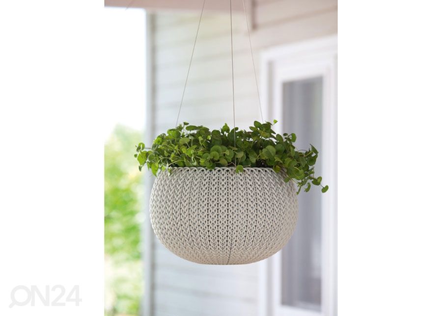 Kukka-amppeli Keter Cozy S kuvasuurennos