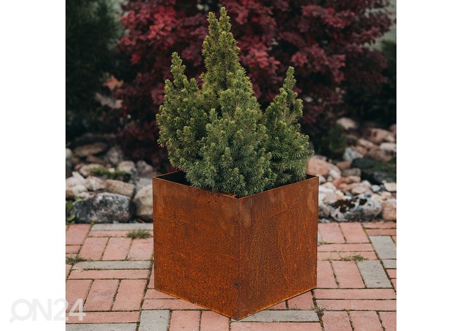 Kukkaruukku Cor-Ten teräksestä Fiora L kuvasuurennos