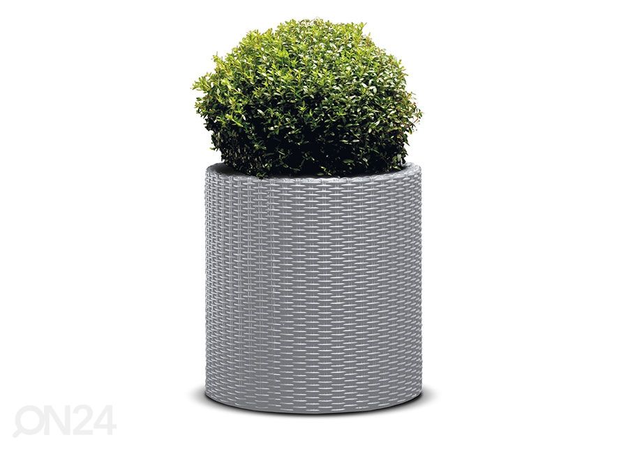 Kukkaruukku Keter Cylinder L kuvasuurennos